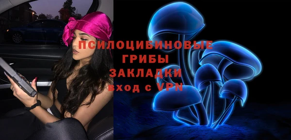прущая мука Новодвинск