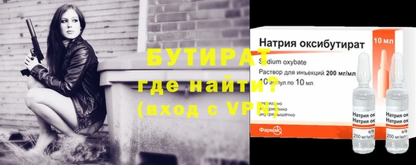 сатива Новокубанск
