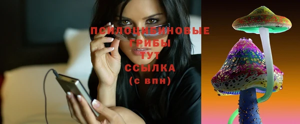 марки lsd Новозыбков