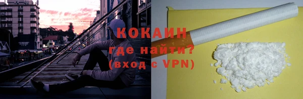 сатива Новокубанск