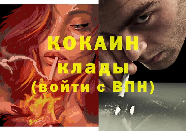 сатива Новокубанск