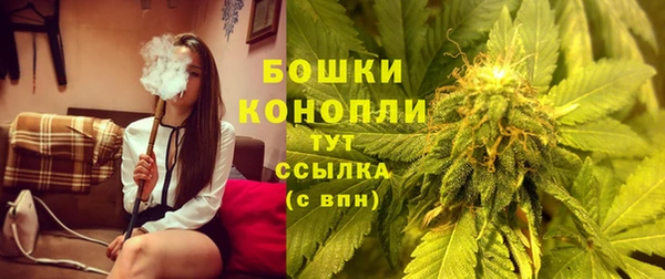 марки lsd Новозыбков