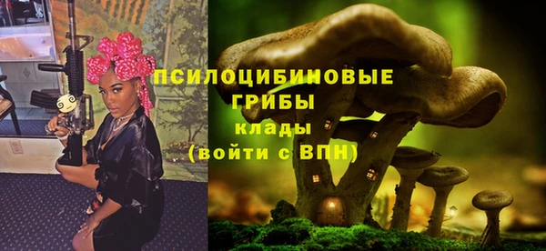 сатива Новокубанск