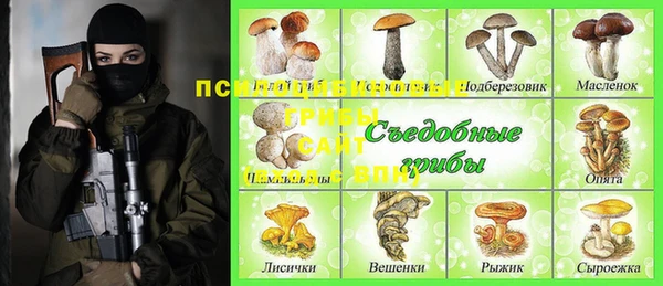 сатива Новокубанск