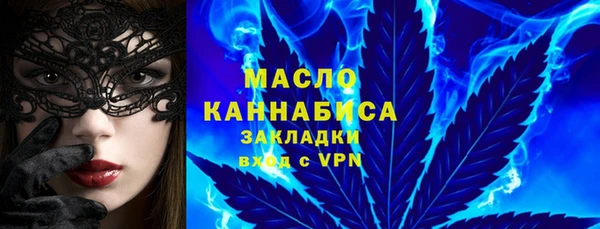 сатива Новокубанск