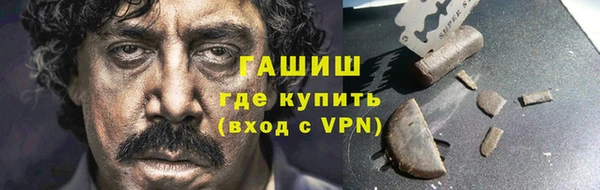 сатива Новокубанск