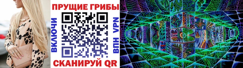 Псилоцибиновые грибы Psilocybine cubensis  Судак 