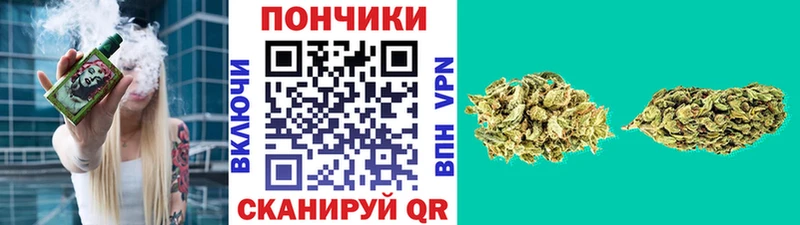 нарко площадка Telegram Судак Бошки Шишки OG Kush